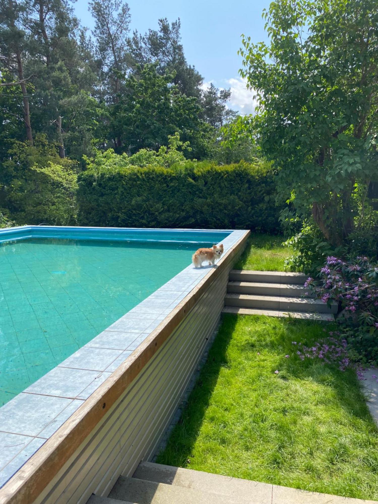 Ferienhaus Holiday Villa Zuromino